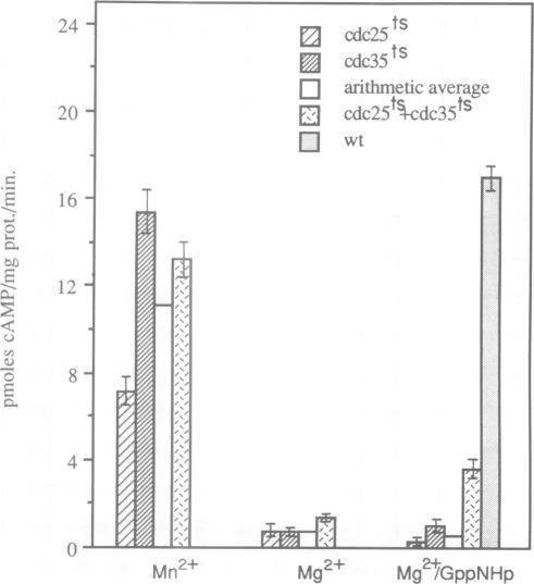 https://cdn.ncbi.nlm.nih.gov/pmc/blobs/55c5/551717/86f1c5e7851a/emboj00230-0053-b.jpg