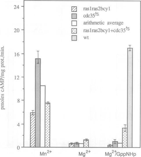 https://cdn.ncbi.nlm.nih.gov/pmc/blobs/55c5/551717/cf90d9daa5c3/emboj00230-0054-a.jpg