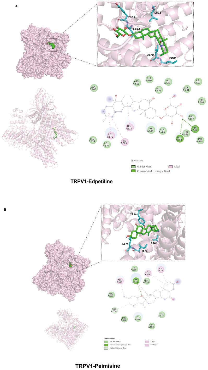 https://cdn.ncbi.nlm.nih.gov/pmc/blobs/55c6/11820270/037ebbdebef3/molecules-30-00623-g005.jpg