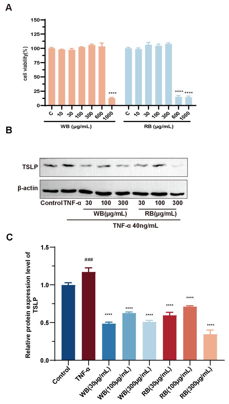 https://cdn.ncbi.nlm.nih.gov/pmc/blobs/55c6/11820270/5f447b57f059/molecules-30-00623-g004.jpg