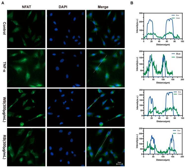https://cdn.ncbi.nlm.nih.gov/pmc/blobs/55c6/11820270/f3cea2aca02a/molecules-30-00623-g007.jpg