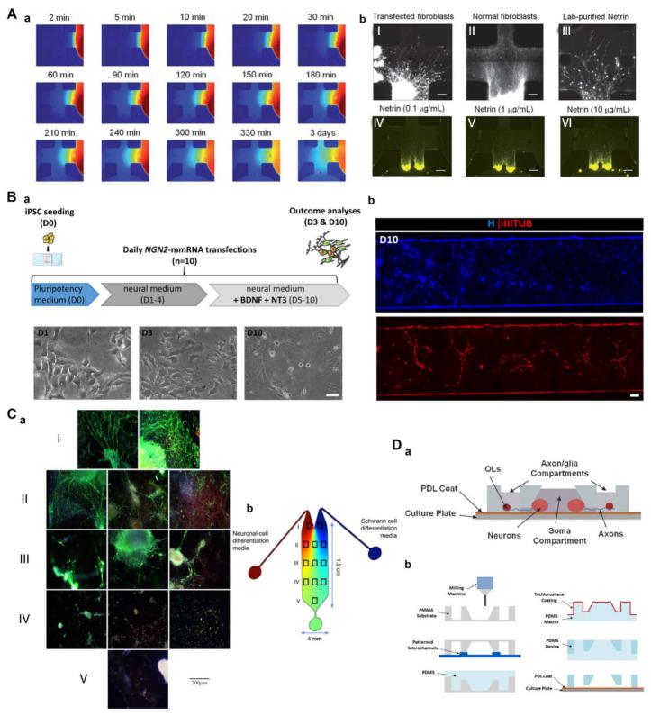 https://cdn.ncbi.nlm.nih.gov/pmc/blobs/55c6/9862045/c84f1a7b3438/pharmaceutics-15-00210-g004.jpg