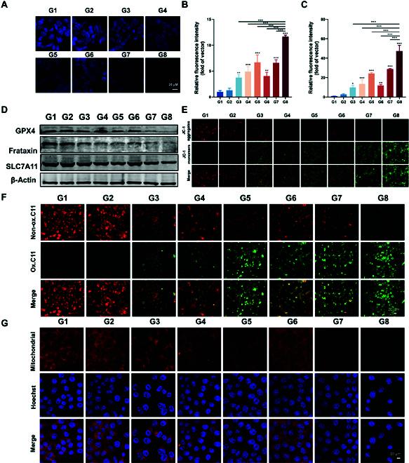 https://cdn.ncbi.nlm.nih.gov/pmc/blobs/55c7/11214948/17577dc0483e/research.0397.fig.004.jpg