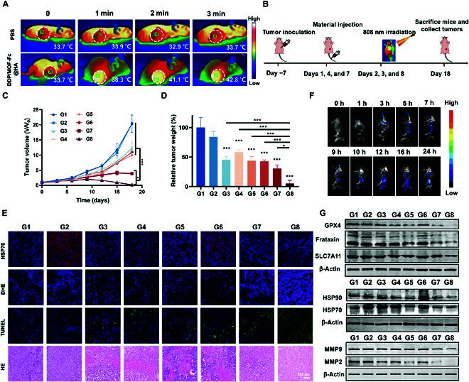 https://cdn.ncbi.nlm.nih.gov/pmc/blobs/55c7/11214948/20bd70c2e2ff/research.0397.fig.006.jpg