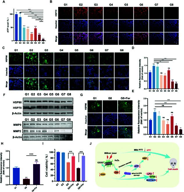https://cdn.ncbi.nlm.nih.gov/pmc/blobs/55c7/11214948/b25b97d1d895/research.0397.fig.005.jpg