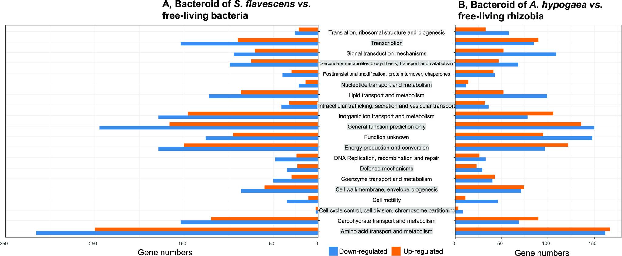 https://cdn.ncbi.nlm.nih.gov/pmc/blobs/55c9/9927569/722f749113ed/spectrum.01079-22-f003.jpg