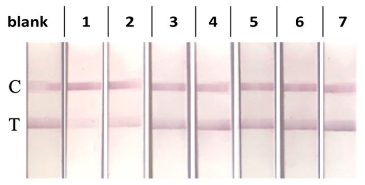 https://cdn.ncbi.nlm.nih.gov/pmc/blobs/55cb/10296389/bda50a7b910a/biosensors-13-00667-g004.jpg