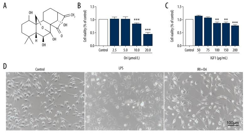 https://cdn.ncbi.nlm.nih.gov/pmc/blobs/55cb/7219002/42a3a7a1b2dc/medscimonit-26-e921114-g003.jpg