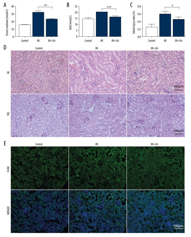 https://cdn.ncbi.nlm.nih.gov/pmc/blobs/55cb/7219002/a08afcd2df3d/medscimonit-26-e921114-g001.jpg