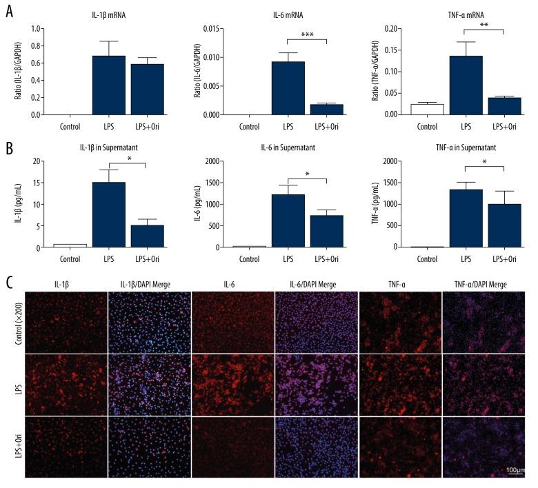 https://cdn.ncbi.nlm.nih.gov/pmc/blobs/55cb/7219002/a78f7a0757e4/medscimonit-26-e921114-g004.jpg
