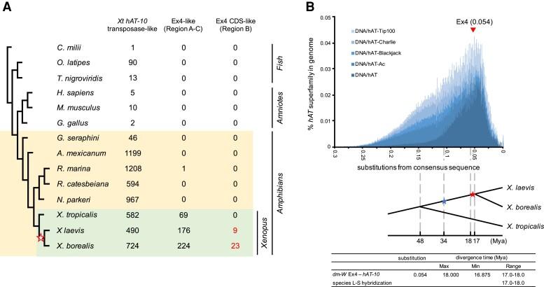 https://cdn.ncbi.nlm.nih.gov/pmc/blobs/55cb/9250109/772a94d3a403/msac138f2.jpg