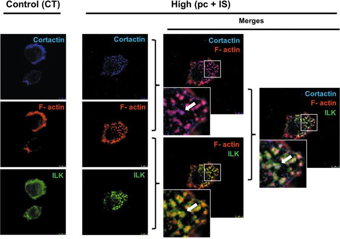 https://cdn.ncbi.nlm.nih.gov/pmc/blobs/55ce/8980039/2064b4cd9200/12276_2022_738_Fig6_HTML.jpg