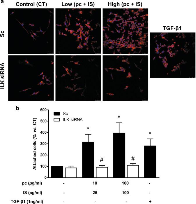 https://cdn.ncbi.nlm.nih.gov/pmc/blobs/55ce/8980039/627f2ff3bf60/12276_2022_738_Fig2_HTML.jpg