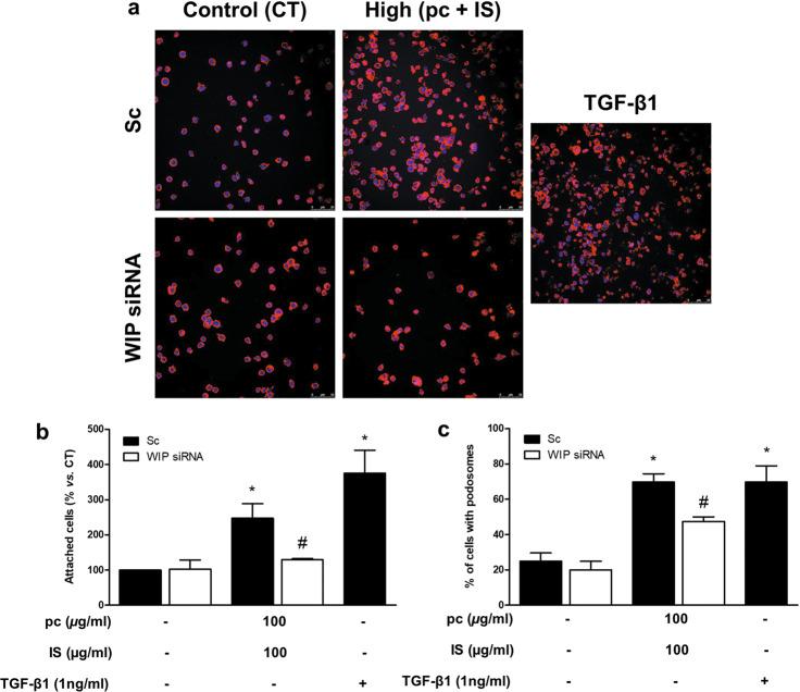 https://cdn.ncbi.nlm.nih.gov/pmc/blobs/55ce/8980039/7924cf258e78/12276_2022_738_Fig5_HTML.jpg
