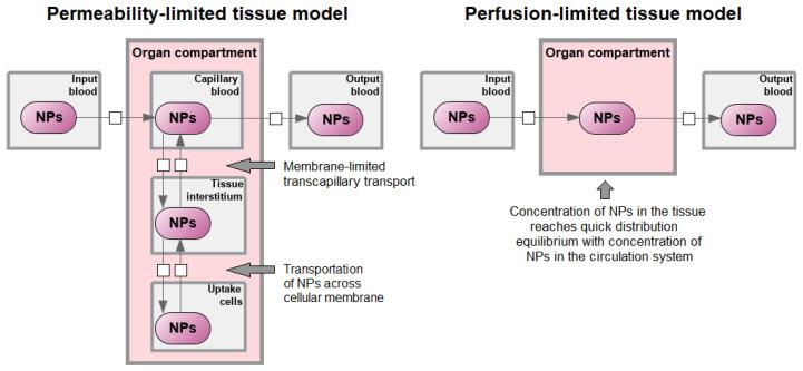 https://cdn.ncbi.nlm.nih.gov/pmc/blobs/55d0/9604366/594c9bab96af/ijms-23-12560-g003.jpg