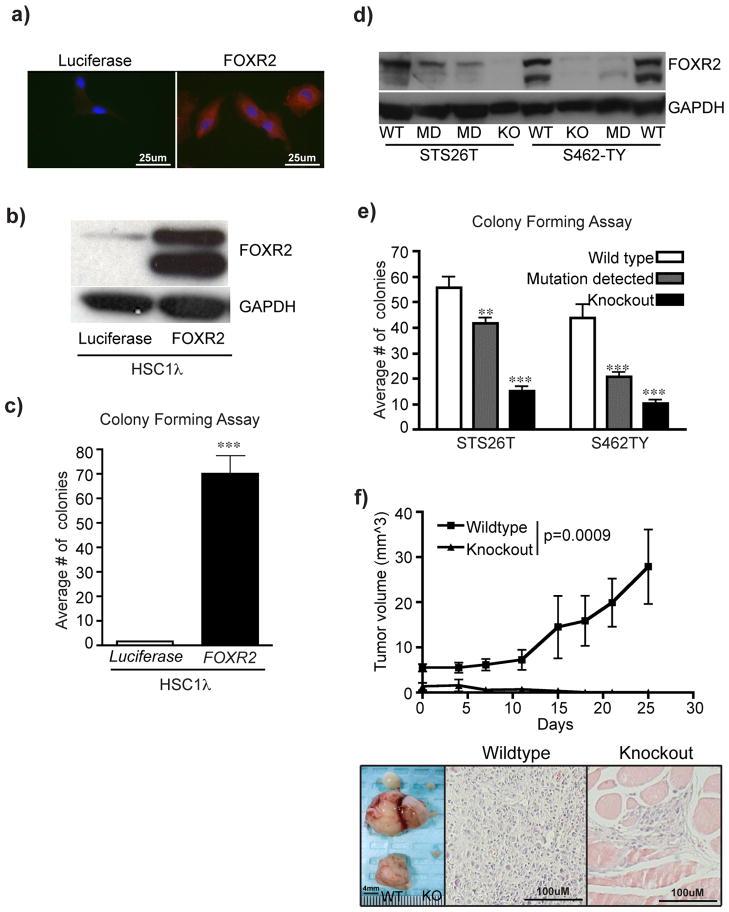 https://cdn.ncbi.nlm.nih.gov/pmc/blobs/55d1/3695033/4a076e0a4b6e/nihms474979f7.jpg