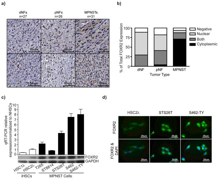 https://cdn.ncbi.nlm.nih.gov/pmc/blobs/55d1/3695033/d40d848c6649/nihms474979f6.jpg
