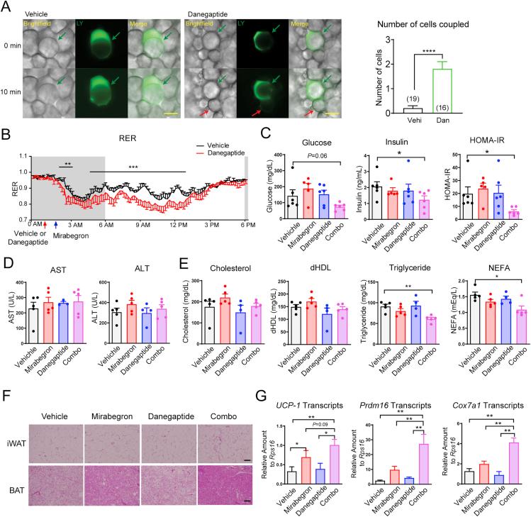 https://cdn.ncbi.nlm.nih.gov/pmc/blobs/55d3/9293664/2869bb90a328/gr3.jpg