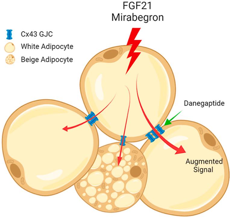 https://cdn.ncbi.nlm.nih.gov/pmc/blobs/55d3/9293664/a1674555bdfb/ga1.jpg