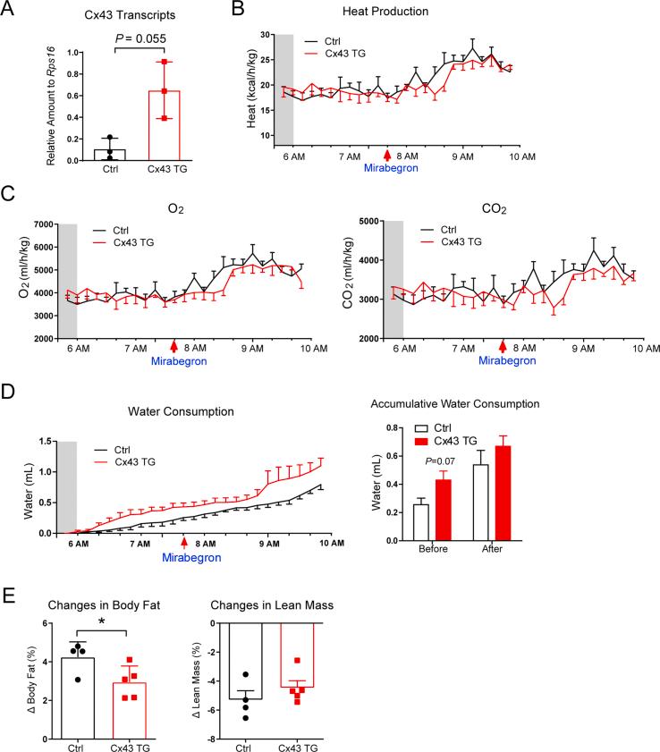 https://cdn.ncbi.nlm.nih.gov/pmc/blobs/55d3/9293664/ba69d337d014/figs1.jpg