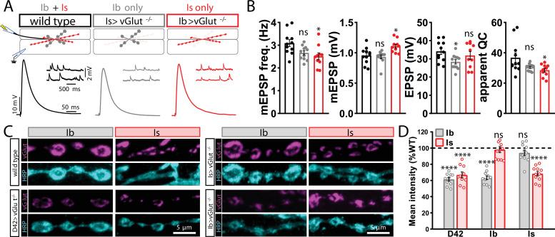 https://cdn.ncbi.nlm.nih.gov/pmc/blobs/55d3/9439677/219e596a24e2/elife-77924-fig1-figsupp3.jpg