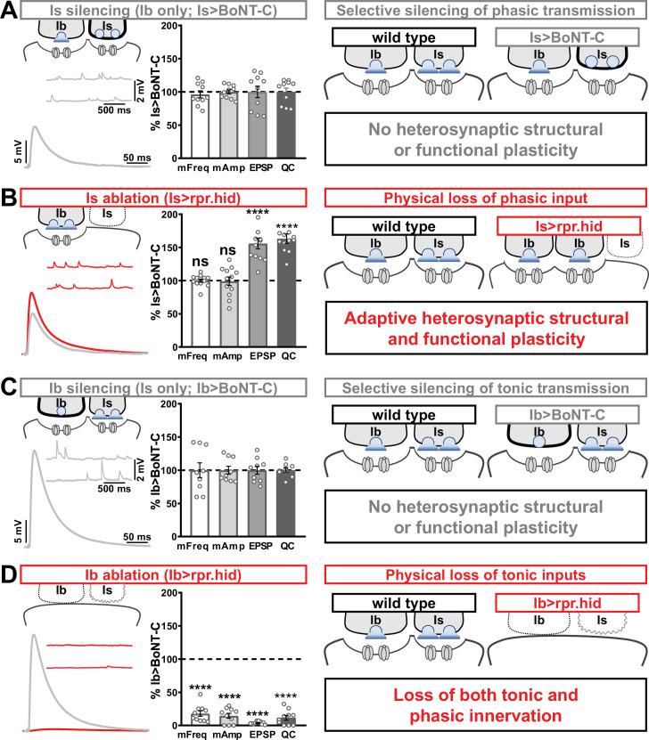 https://cdn.ncbi.nlm.nih.gov/pmc/blobs/55d3/9439677/99cef4e3dec9/elife-77924-fig8.jpg