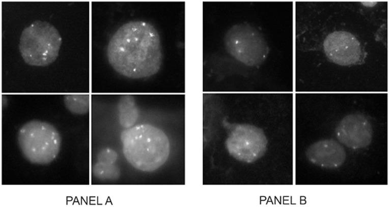 https://cdn.ncbi.nlm.nih.gov/pmc/blobs/55d5/3391188/639b44bb0ff6/pone.0039101.g001.jpg