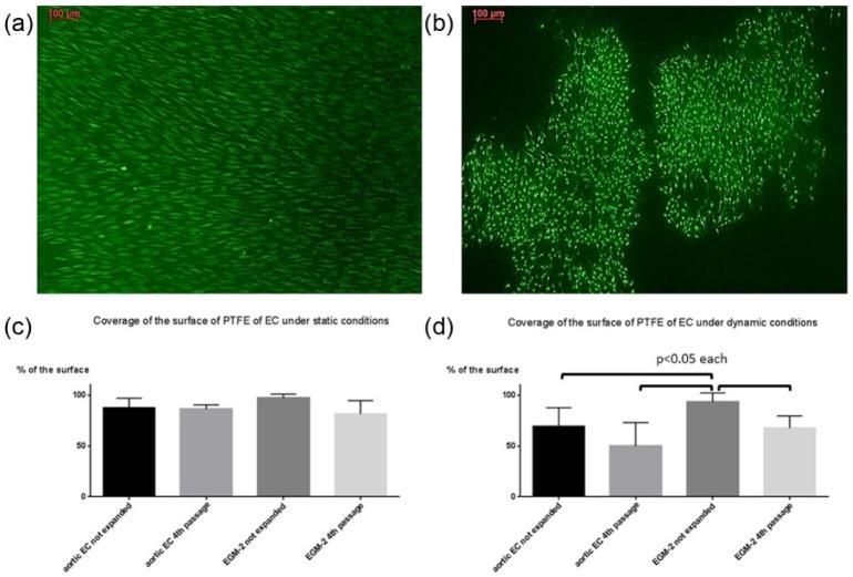 https://cdn.ncbi.nlm.nih.gov/pmc/blobs/55d6/5433677/fc0cb1634020/10.1177_2041731417698852-fig4.jpg