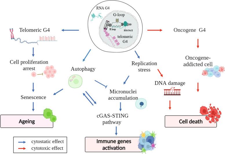 https://cdn.ncbi.nlm.nih.gov/pmc/blobs/55d6/9482198/b5497864b1e1/12943_2022_1649_Fig4_HTML.jpg