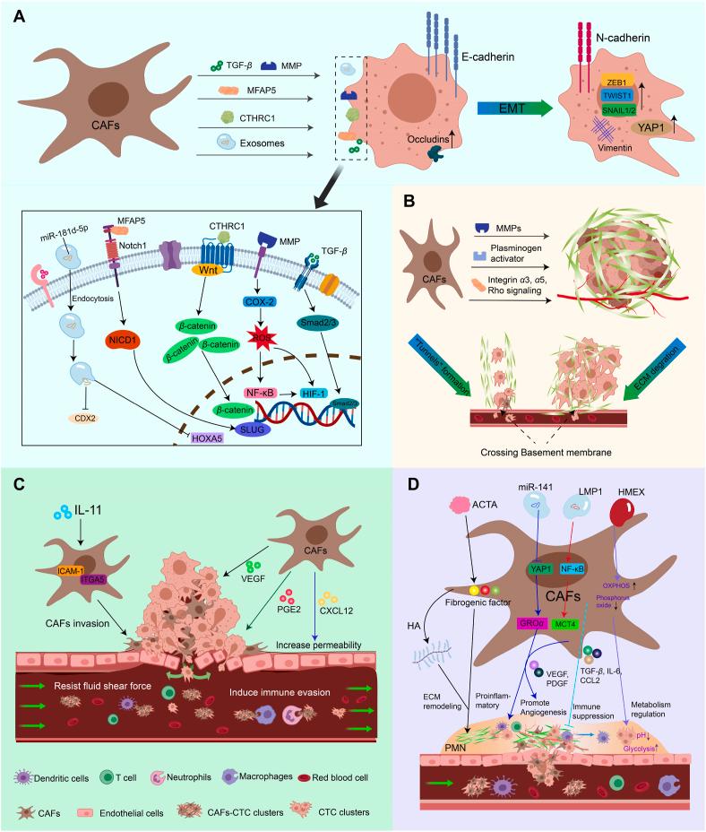 https://cdn.ncbi.nlm.nih.gov/pmc/blobs/55d9/12138110/54b1881f41c2/gr2.jpg