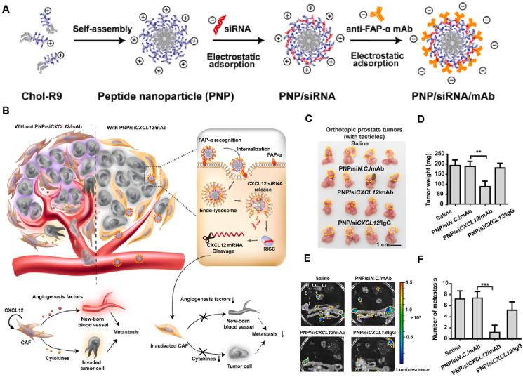 https://cdn.ncbi.nlm.nih.gov/pmc/blobs/55d9/12138110/583cb2d6f27c/gr4.jpg