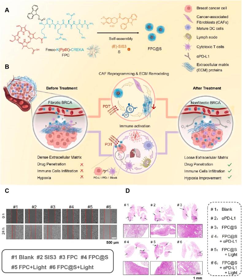 https://cdn.ncbi.nlm.nih.gov/pmc/blobs/55d9/12138110/be23a98e177b/gr5.jpg