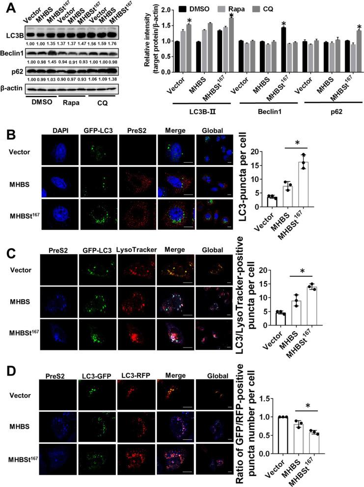 https://cdn.ncbi.nlm.nih.gov/pmc/blobs/55d9/9235077/2377c052e8cd/12985_2022_1840_Fig2_HTML.jpg
