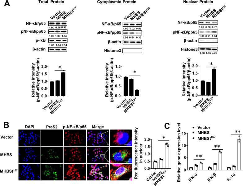 https://cdn.ncbi.nlm.nih.gov/pmc/blobs/55d9/9235077/584f34f2df29/12985_2022_1840_Fig4_HTML.jpg