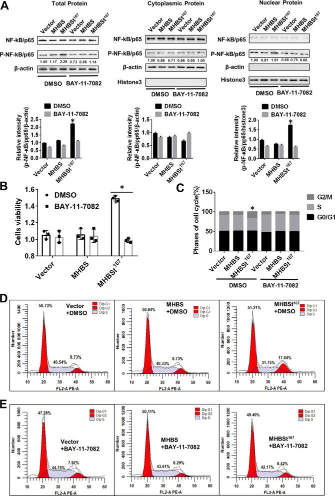 https://cdn.ncbi.nlm.nih.gov/pmc/blobs/55d9/9235077/bc5491c4b276/12985_2022_1840_Fig5_HTML.jpg