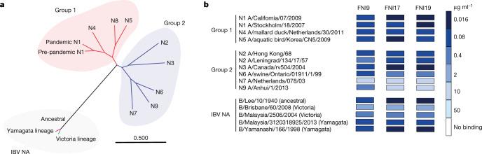 https://cdn.ncbi.nlm.nih.gov/pmc/blobs/55db/10266979/a76f90e04521/41586_2023_6136_Fig1_HTML.jpg