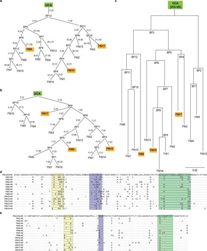 https://cdn.ncbi.nlm.nih.gov/pmc/blobs/55db/10266979/e7a5d35828a4/41586_2023_6136_Fig6_ESM.jpg