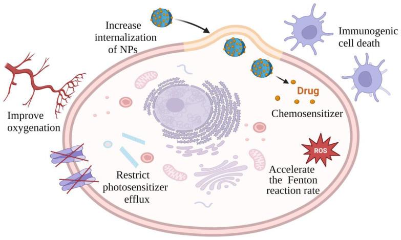 https://cdn.ncbi.nlm.nih.gov/pmc/blobs/55dd/11355745/1c81ec7e24d5/jfb-15-00207-g001.jpg