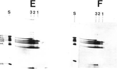 https://cdn.ncbi.nlm.nih.gov/pmc/blobs/55dd/342382/9cd15e02eb5f/nar00461-0173-b.jpg