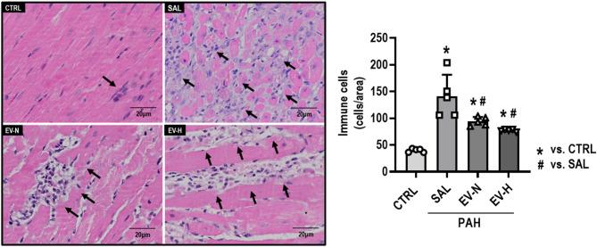 https://cdn.ncbi.nlm.nih.gov/pmc/blobs/55e0/12395730/58c3ab6a4b4a/13287_2025_4604_Fig5_HTML.jpg