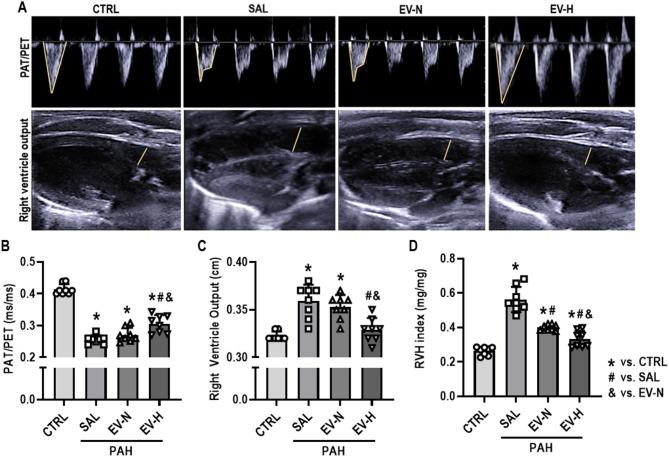 https://cdn.ncbi.nlm.nih.gov/pmc/blobs/55e0/12395730/76647dd76534/13287_2025_4604_Fig2_HTML.jpg