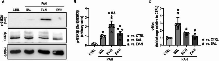 https://cdn.ncbi.nlm.nih.gov/pmc/blobs/55e0/12395730/c9cfc669e670/13287_2025_4604_Fig4_HTML.jpg