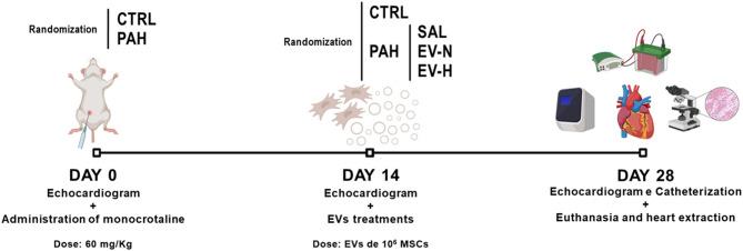 https://cdn.ncbi.nlm.nih.gov/pmc/blobs/55e0/12395730/d8494e1e8e43/13287_2025_4604_Fig1_HTML.jpg