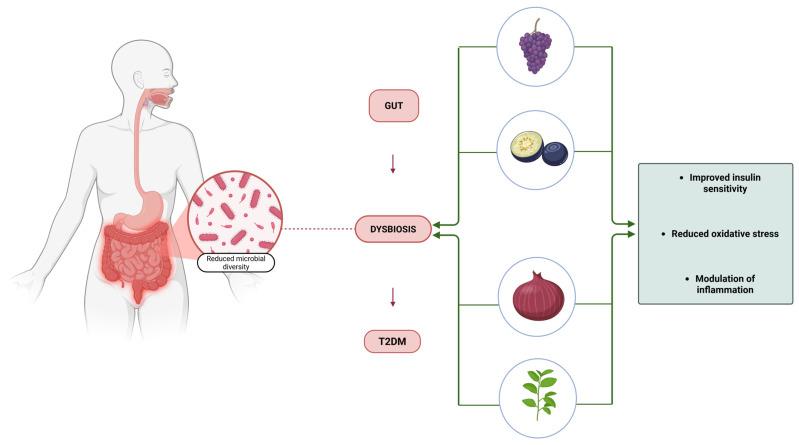 https://cdn.ncbi.nlm.nih.gov/pmc/blobs/55e3/12189370/3a177170b09d/antioxidants-14-00725-g001.jpg