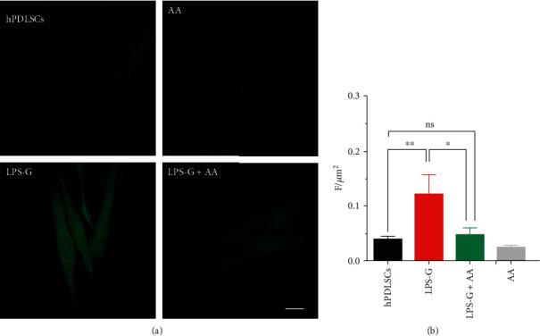 https://cdn.ncbi.nlm.nih.gov/pmc/blobs/55e4/7840256/6fda1b80df7c/OMCL2021-6679708.008.jpg