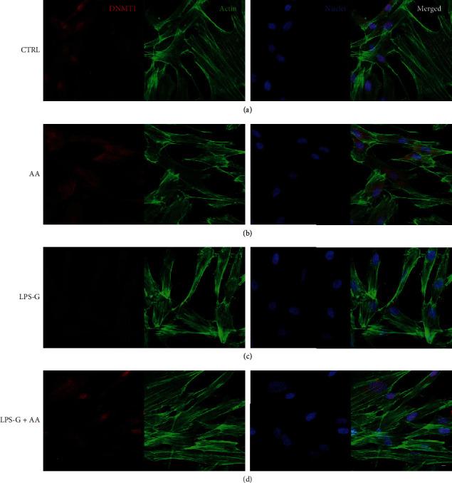 https://cdn.ncbi.nlm.nih.gov/pmc/blobs/55e4/7840256/ac9e26380d16/OMCL2021-6679708.006.jpg