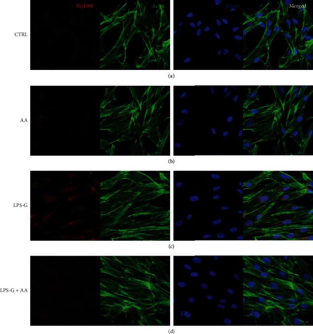 https://cdn.ncbi.nlm.nih.gov/pmc/blobs/55e4/7840256/c8ce0076cf04/OMCL2021-6679708.004.jpg