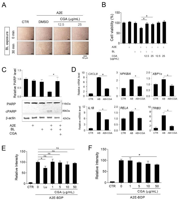 https://cdn.ncbi.nlm.nih.gov/pmc/blobs/55e5/7912168/298ba432f721/nutrients-13-00359-g007.jpg