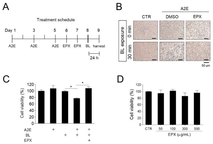 https://cdn.ncbi.nlm.nih.gov/pmc/blobs/55e5/7912168/66ad85f1700f/nutrients-13-00359-g002.jpg