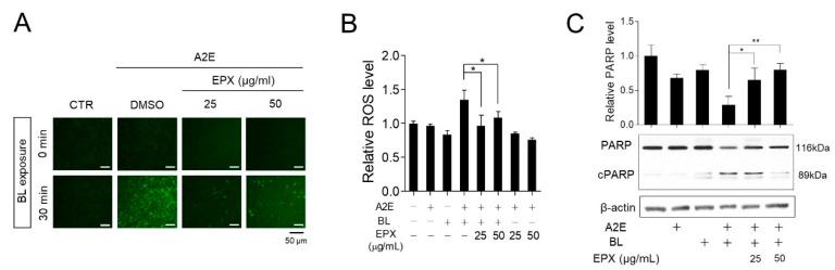 https://cdn.ncbi.nlm.nih.gov/pmc/blobs/55e5/7912168/ac403d66af87/nutrients-13-00359-g003.jpg